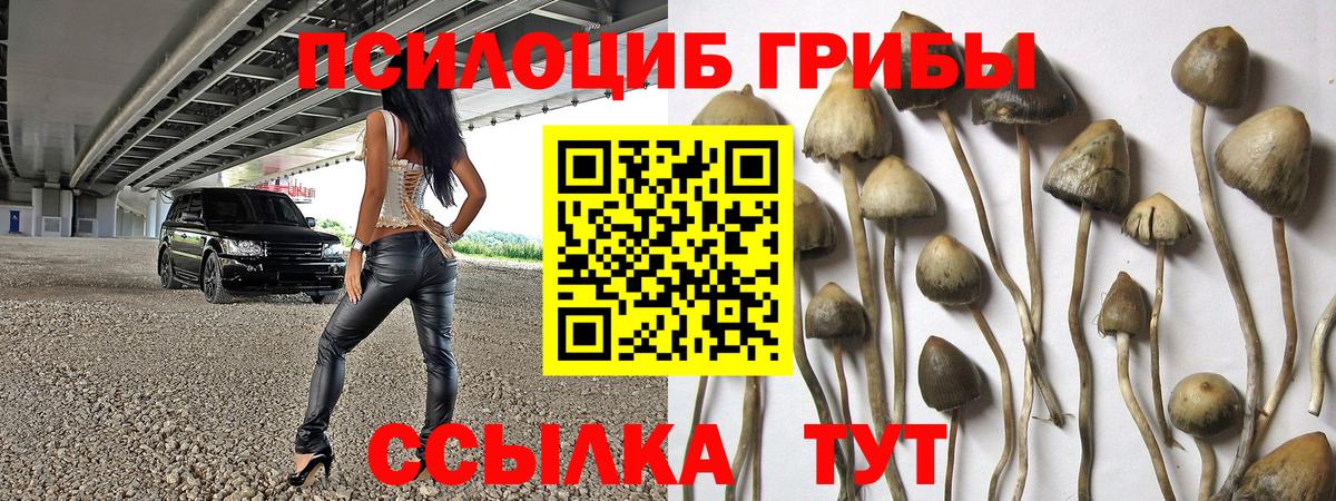 Псилоцибиновые грибы Cubensis Соликамск