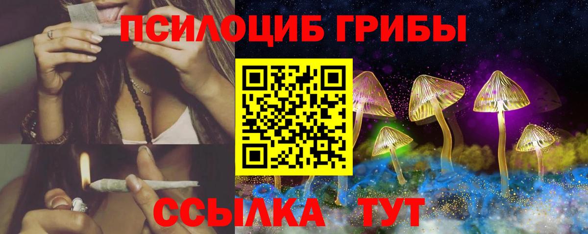 магазин  наркотиков  Псилоцибиновые грибы GOLDEN TEACHER  Вход с VPN  Псилоцибиновые грибы GOLDEN TEACHER  Соликамск 